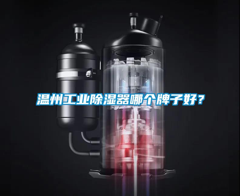 溫州工業(yè)除濕器哪個牌子好？