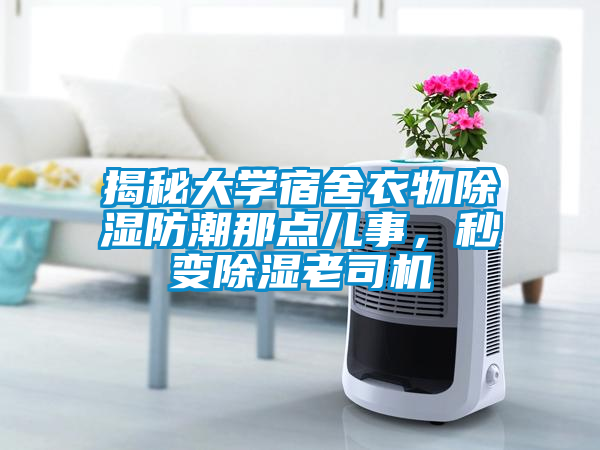 揭秘大學(xué)宿舍衣物除濕防潮那點(diǎn)兒事，秒變除濕老司機(jī)