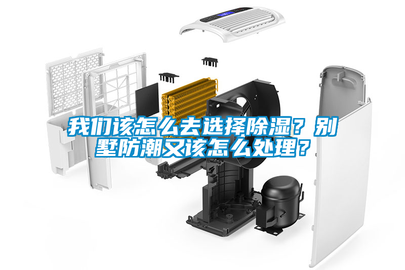 我們該怎么去選擇除濕？別墅防潮又該怎么處理？