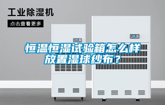 恒溫恒濕試驗(yàn)箱怎么樣放置濕球紗布？