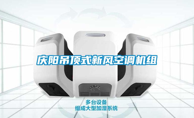 慶陽吊頂式新風(fēng)空調(diào)機組