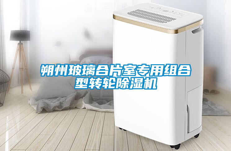 朔州玻璃合片室專(zhuān)用組合型轉(zhuǎn)輪除濕機(jī)