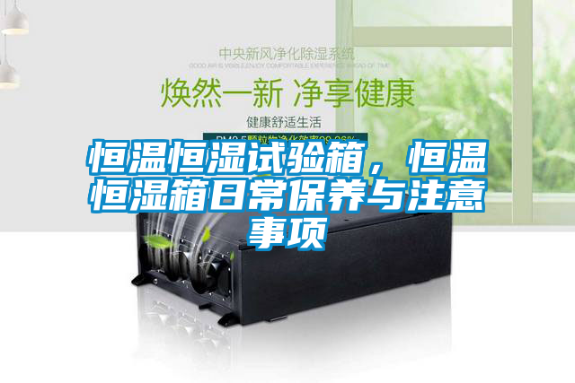 恒溫恒濕試驗箱，恒溫恒濕箱日常保養(yǎng)與注意事項