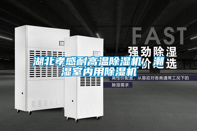 湖北孝感耐高溫除濕機(jī)，潮濕室內(nèi)用除濕機(jī)