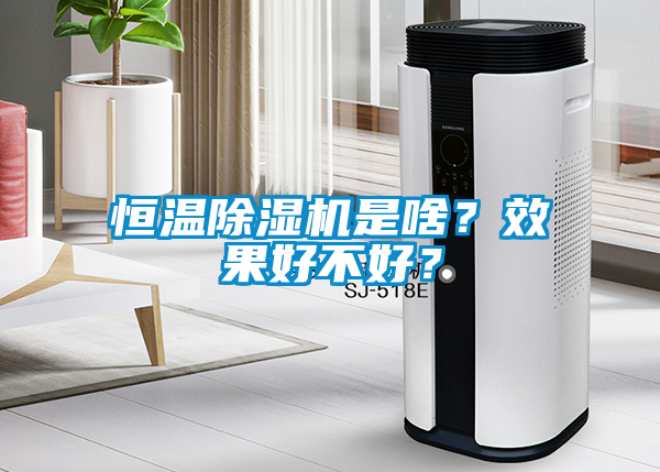 恒溫除濕機是啥？效果好不好？