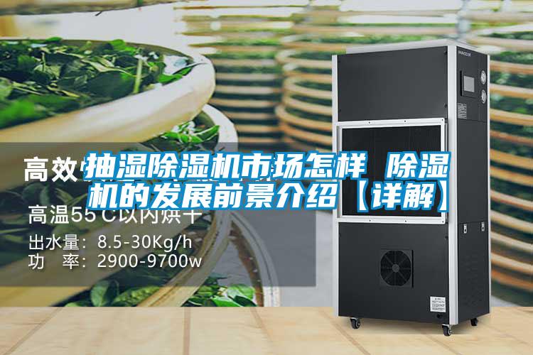 抽濕除濕機市場怎樣 除濕機的發(fā)展前景介紹【詳解】