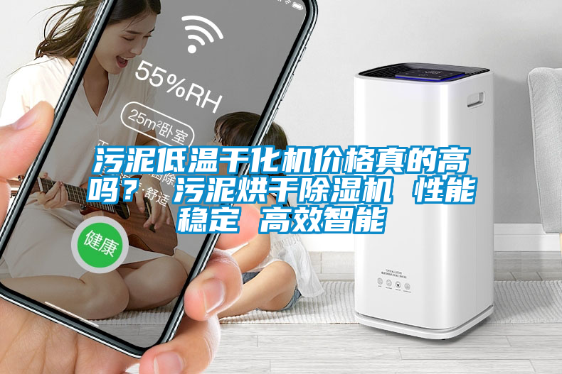 污泥低溫干化機(jī)價(jià)格真的高嗎？ 污泥烘干除濕機(jī) 性能穩(wěn)定 高效智能