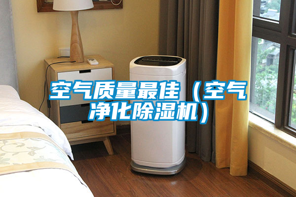 空氣質(zhì)量最佳（空氣凈化除濕機）