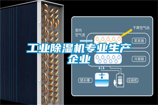 工業(yè)除濕機(jī)專(zhuān)業(yè)生產(chǎn)企業(yè)