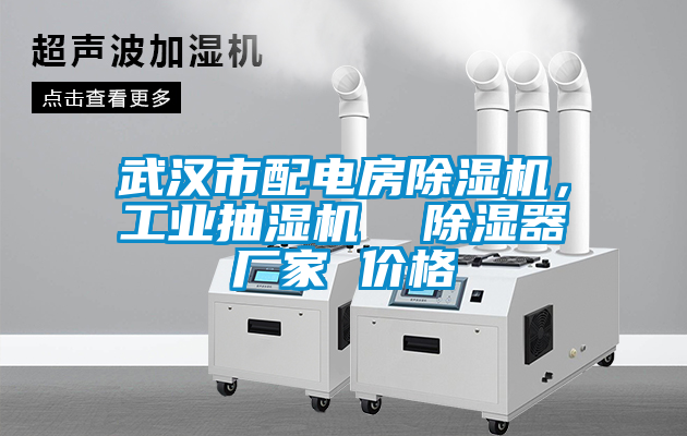 武漢市配電房除濕機(jī)，工業(yè)抽濕機(jī)  除濕器廠家 價格