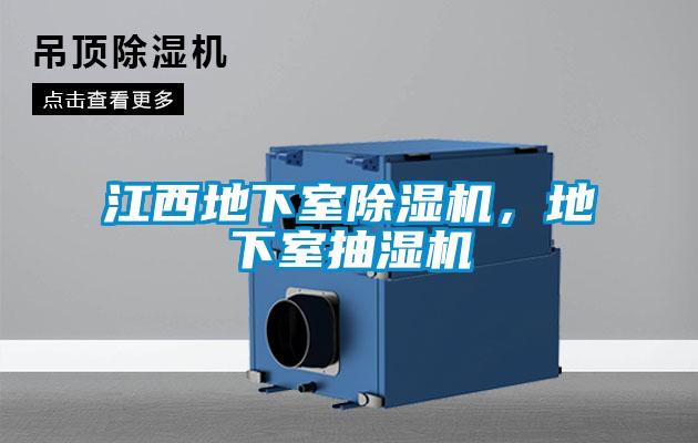 江西地下室除濕機(jī)，地下室抽濕機(jī)