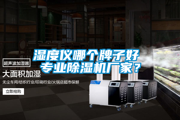 濕度儀哪個牌子好 專業(yè)除濕機廠家？
