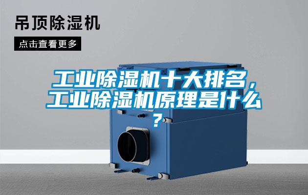 工業(yè)除濕機(jī)十大排名，工業(yè)除濕機(jī)原理是什么？