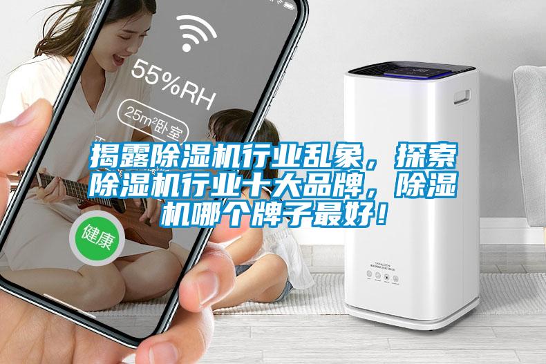 揭露除濕機行業(yè)亂象，探索除濕機行業(yè)十大品牌，除濕機哪個牌子最好！