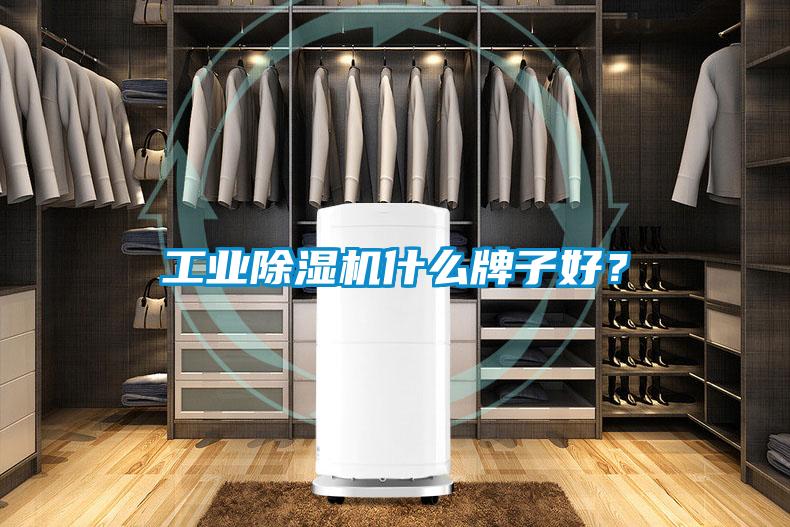 工業(yè)除濕機(jī)什么牌子好？