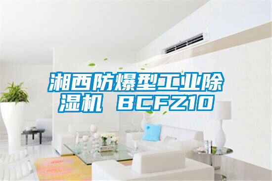 湘西防爆型工業(yè)除濕機 BCFZ10