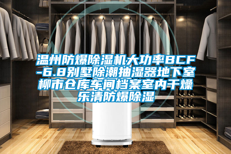 溫州防爆除濕機(jī)大功率BCF-6.8別墅除潮抽濕器地下室柳市倉(cāng)庫(kù)車間檔案室內(nèi)干燥樂(lè)清防爆除濕