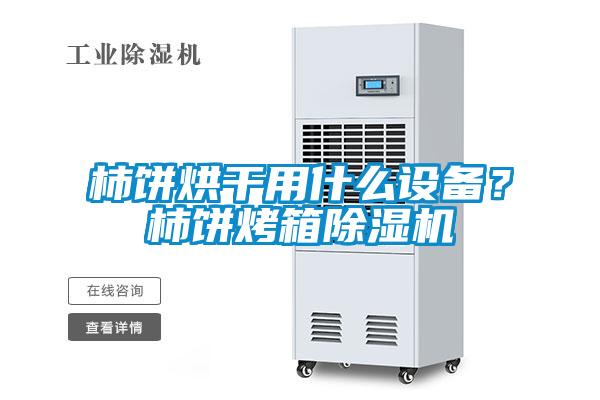 柿餅烘干用什么設(shè)備？柿餅烤箱除濕機