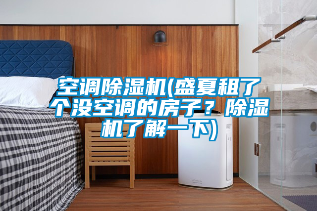 空調(diào)除濕機(盛夏租了個沒空調(diào)的房子？除濕機了解一下)