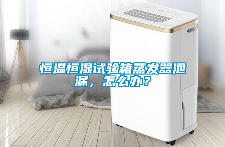 恒溫恒濕試驗箱蒸發(fā)器泄漏，怎么辦？