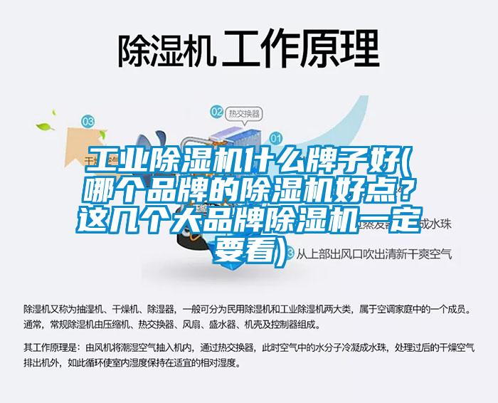 工業(yè)除濕機(jī)什么牌子好(哪個(gè)品牌的除濕機(jī)好點(diǎn)？這幾個(gè)大品牌除濕機(jī)一定要看)