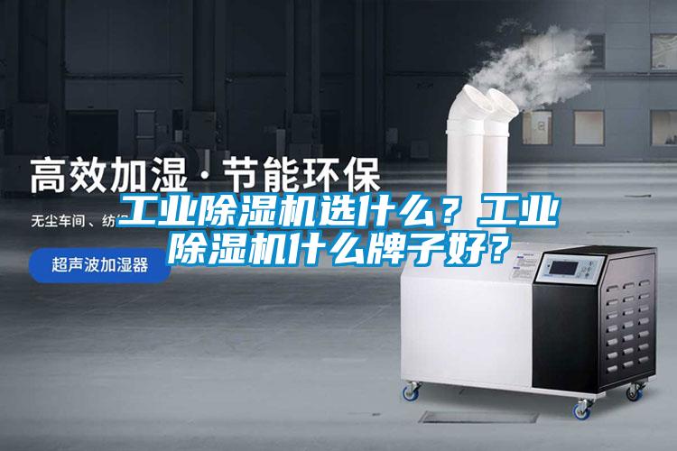 工業(yè)除濕機(jī)選什么？工業(yè)除濕機(jī)什么牌子好？