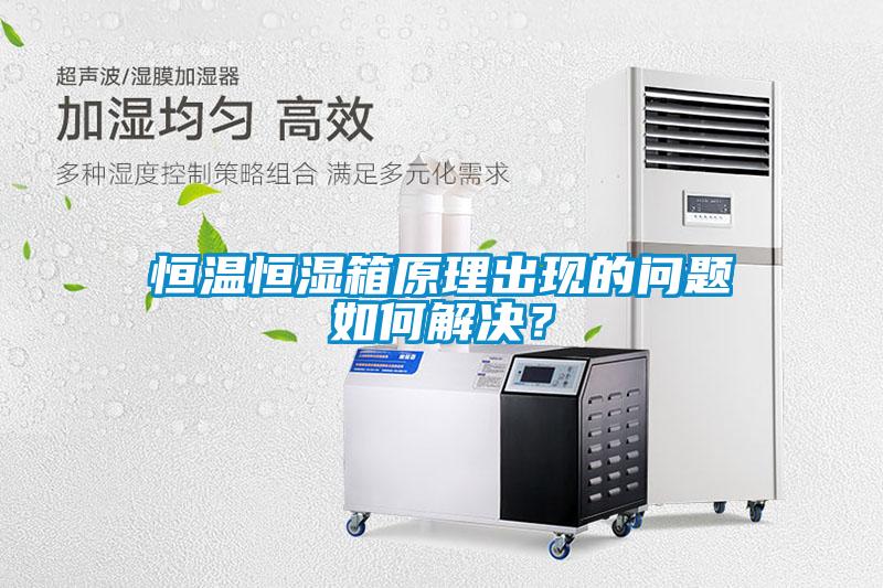 恒溫恒濕箱原理出現(xiàn)的問題如何解決？