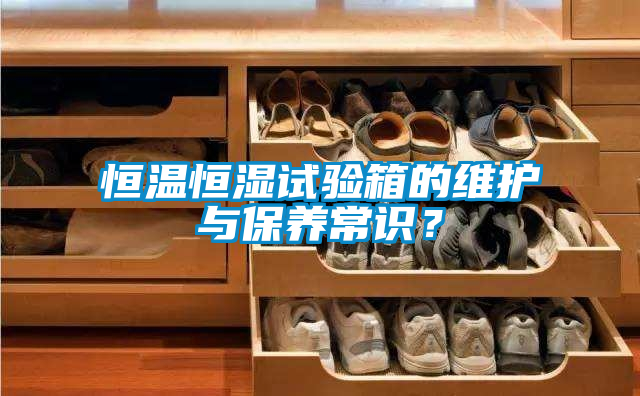 恒溫恒濕試驗(yàn)箱的維護(hù)與保養(yǎng)常識(shí)？