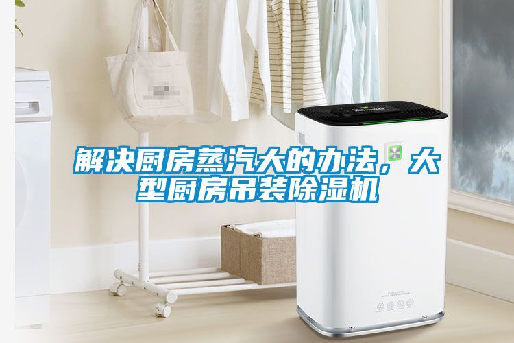 解決廚房蒸汽大的辦法，大型廚房吊裝除濕機
