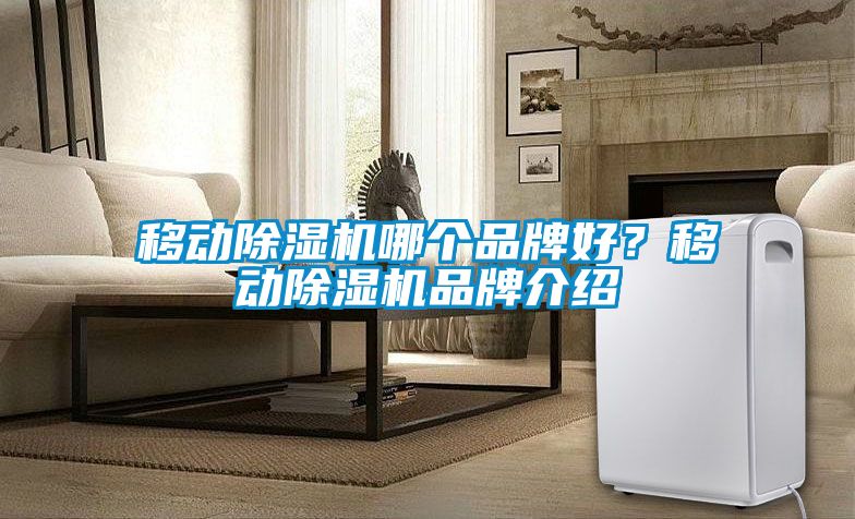 移動(dòng)除濕機(jī)哪個(gè)品牌好？移動(dòng)除濕機(jī)品牌介紹