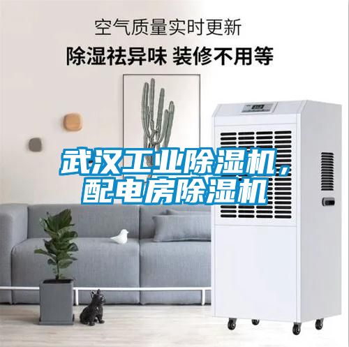 武漢工業(yè)除濕機，配電房除濕機