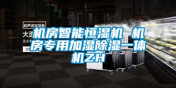 機(jī)房智能恒濕機(jī) 機(jī)房專用加濕除濕一體機(jī)ZH