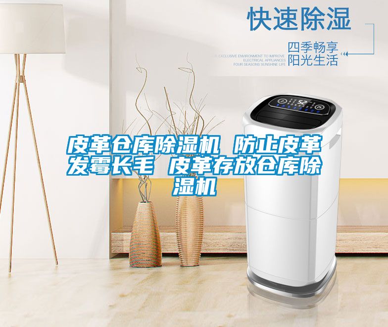 皮革倉庫除濕機(jī) 防止皮革發(fā)霉長(zhǎng)毛 皮革存放倉庫除濕機(jī)