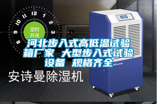 河北步入式高低溫試驗箱廠家 大型步入式試驗設(shè)備 規(guī)格齊全