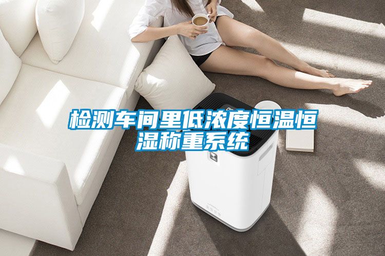 檢測(cè)車間里低濃度恒溫恒濕稱重系統(tǒng)