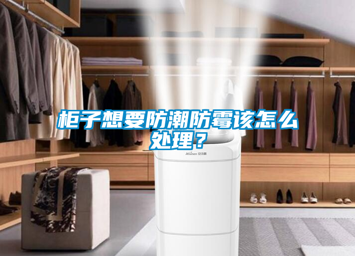 柜子想要防潮防霉該怎么處理？