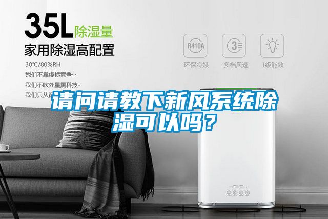 請問請教下新風(fēng)系統(tǒng)除濕可以嗎？