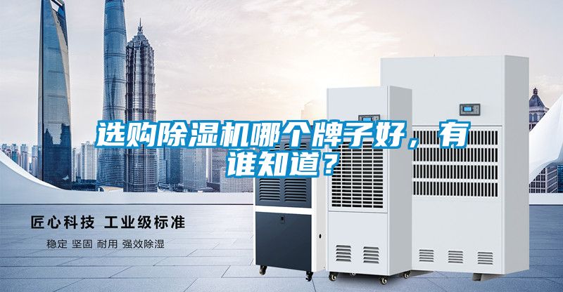 選購除濕機(jī)哪個(gè)牌子好，有誰知道？