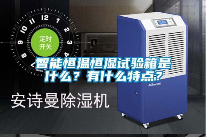 智能恒溫恒濕試驗箱是什么？有什么特點？