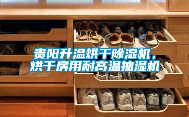 貴陽升溫烘干除濕機，烘干房用耐高溫抽濕機