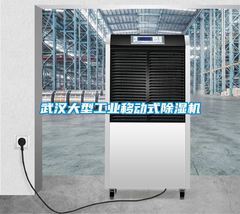 武漢大型工業(yè)移動(dòng)式除濕機(jī)