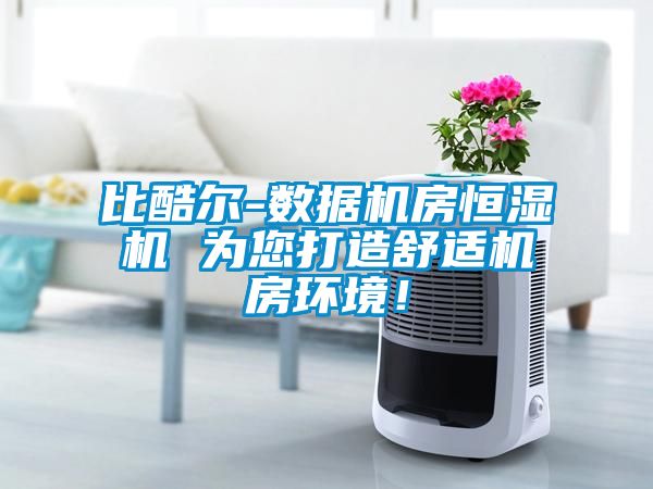 比酷爾-數(shù)據(jù)機(jī)房恒濕機(jī) 為您打造舒適機(jī)房環(huán)境！
