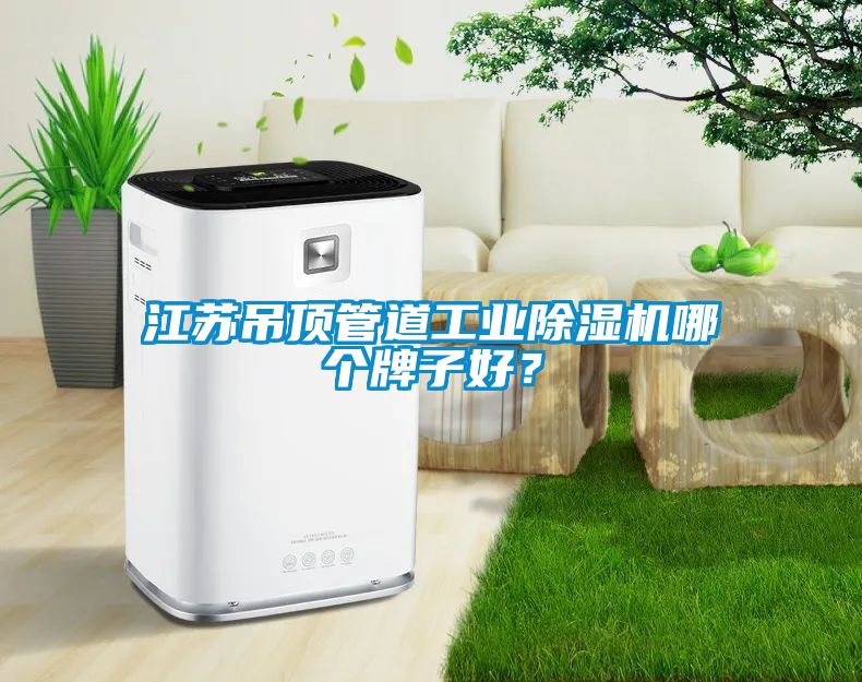 江蘇吊頂管道工業(yè)除濕機哪個牌子好？