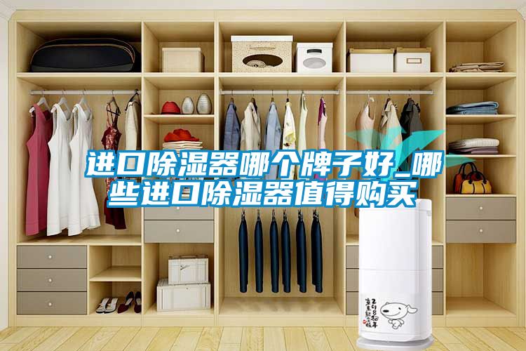 進(jìn)口除濕器哪個(gè)牌子好_哪些進(jìn)口除濕器值得購買