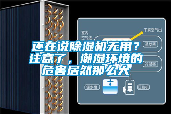 還在說除濕機無用？注意了，潮濕環(huán)境的危害居然那么大