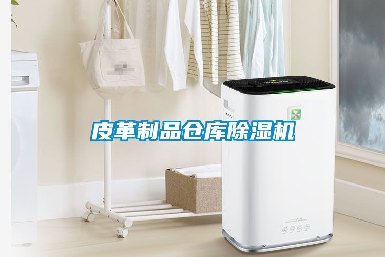 皮革制品倉(cāng)庫除濕機(jī)