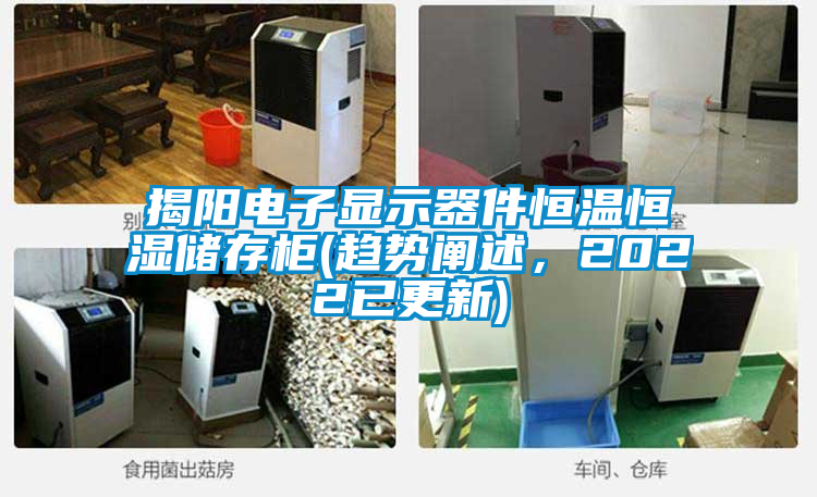 揭陽電子顯示器件恒溫恒濕儲(chǔ)存柜(趨勢闡述，2022已更新)