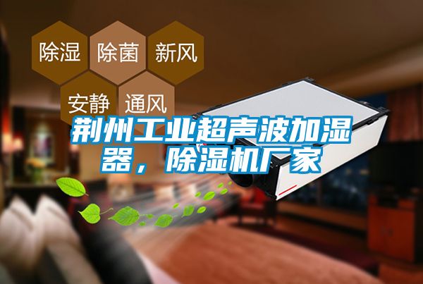 荊州工業(yè)超聲波加濕器，除濕機(jī)廠家