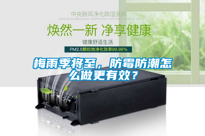 梅雨季將至，防霉防潮怎么做更有效？