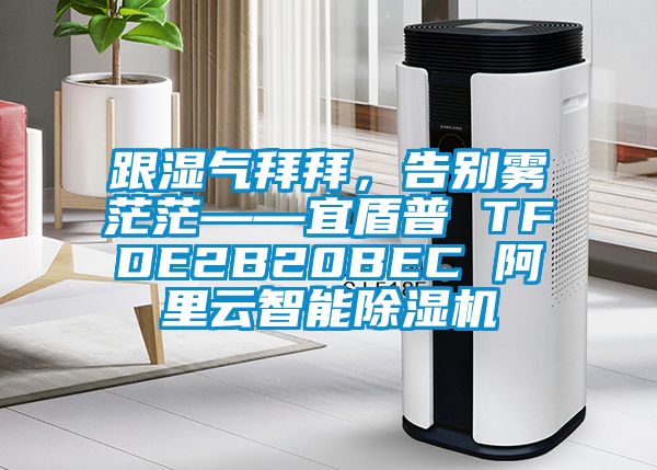 跟濕氣拜拜，告別霧茫?！硕芷?TFDE2B20BEC 阿里云智能除濕機(jī)
